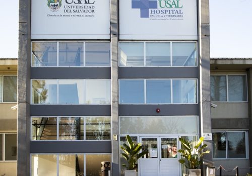 usal-hospital-veterinario-00-portada